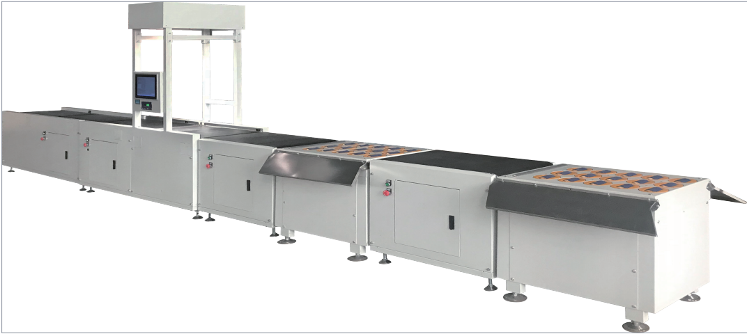 Weighing scanning and sorting assembly line machinery