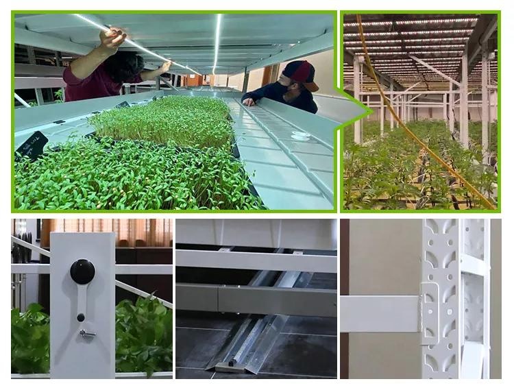 Hydroponic Shelving Configuration