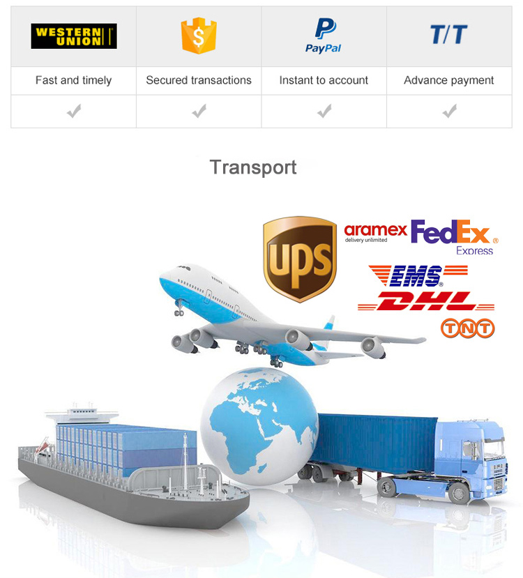 Shipping and Logistics Handling