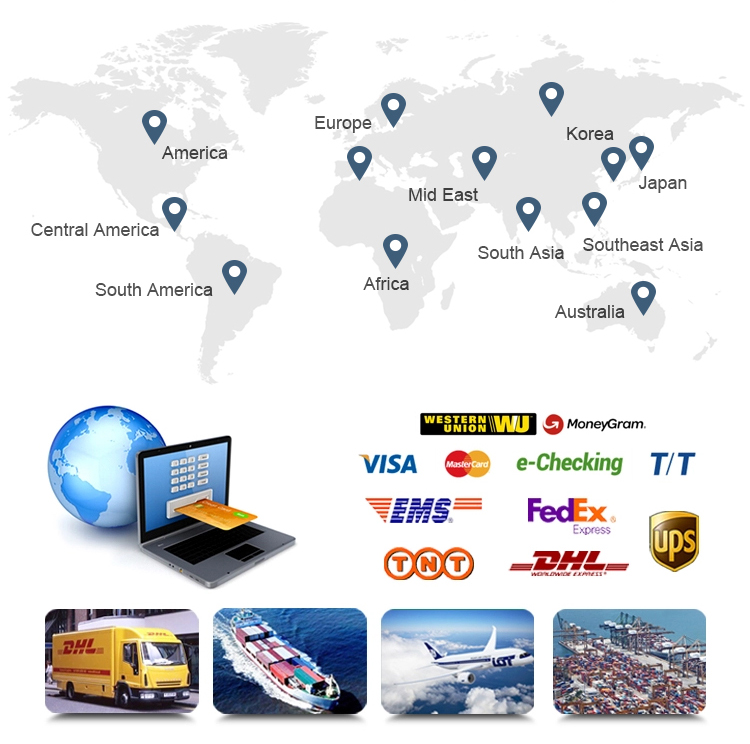 Warehouse and Shipping Logistics