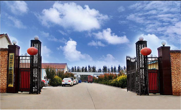 Company Facility and Production