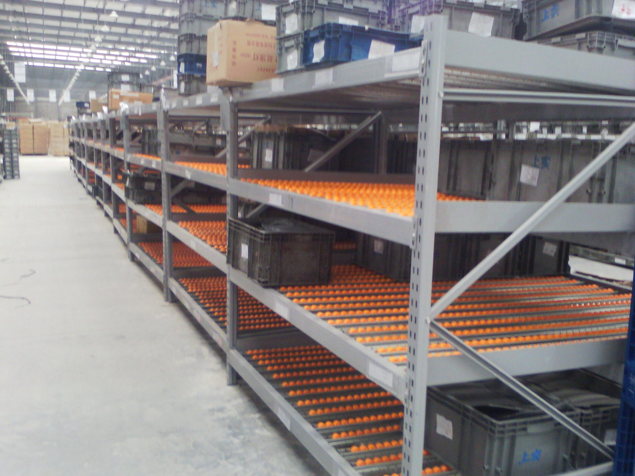 Dynamic Warehouse Setup
