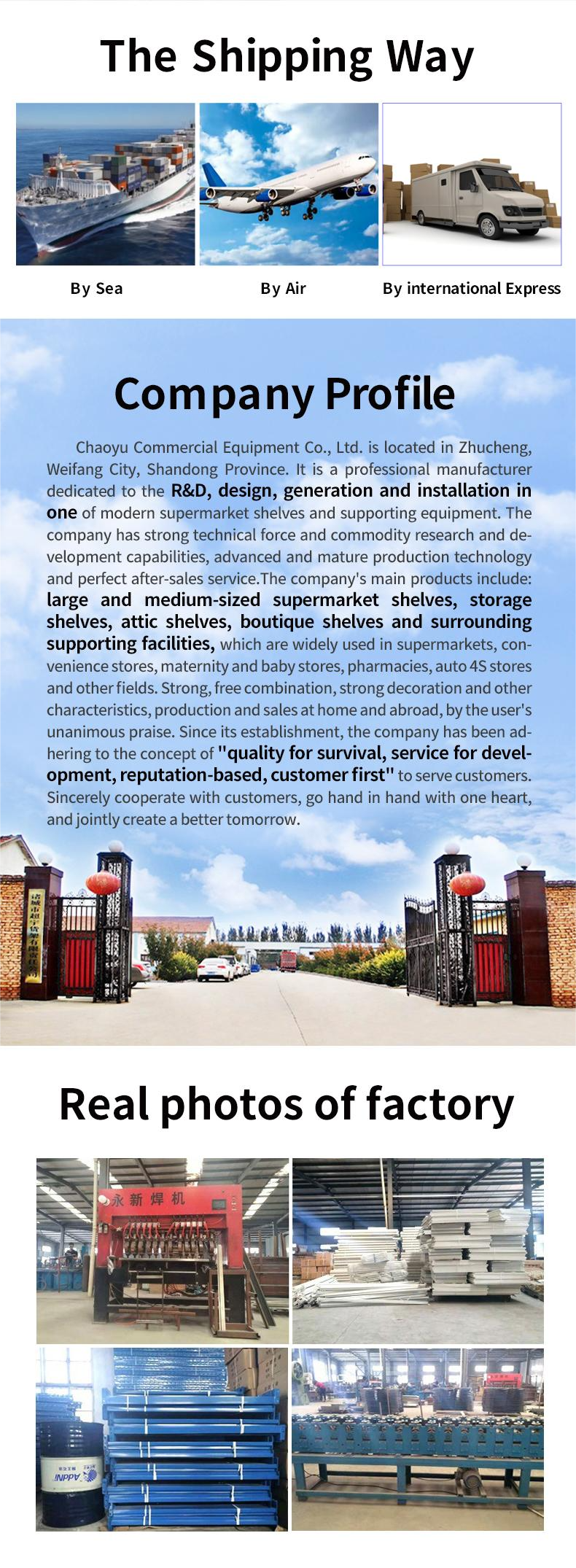 Warehouse Logistic Shelving System