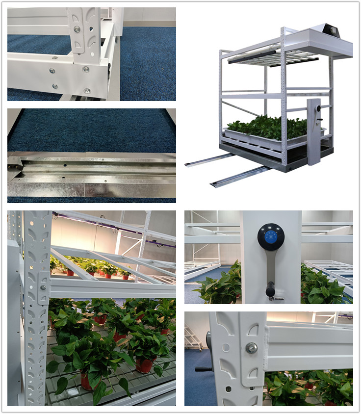 Grow Rack Facility