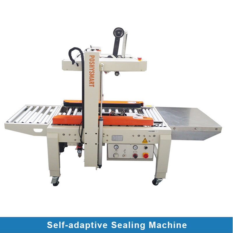 Express sorting conveyor