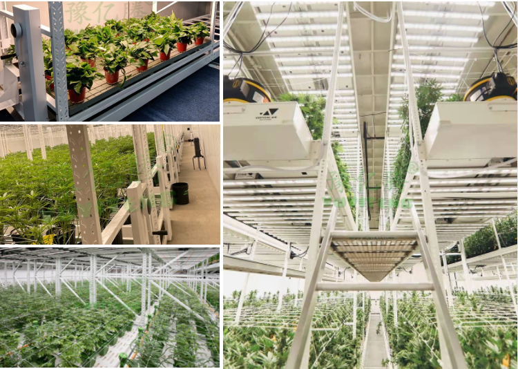 Hydroponic Rack Modules