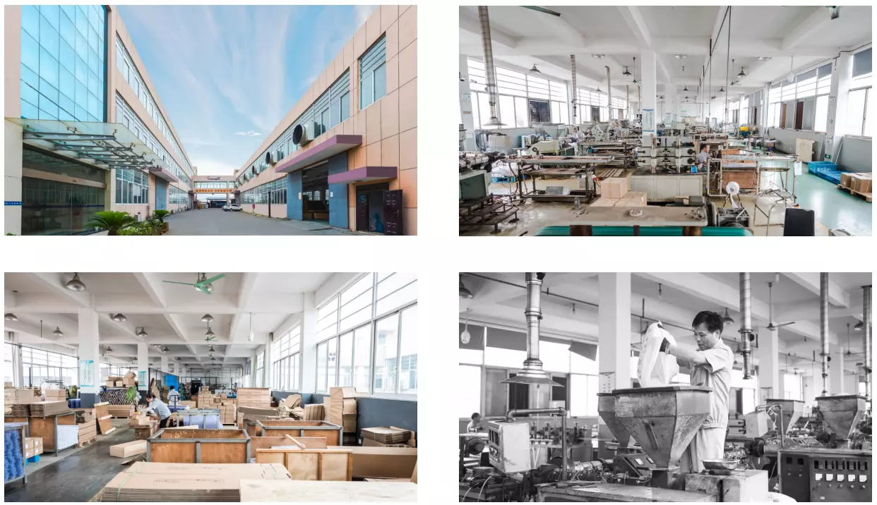 Company Profile