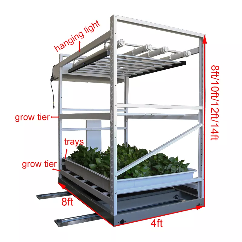 Hydroponics Structure Diagram