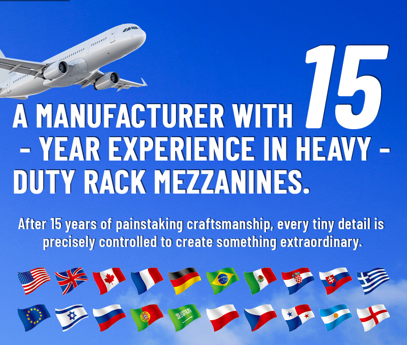 Industrial Mezzanine Platform Showcase