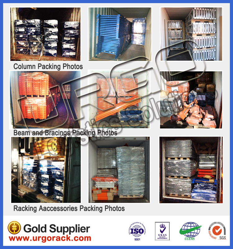 Professional Logistics and Shipping