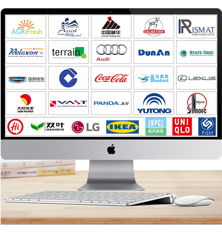 Joint Venture Presence